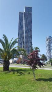 a palm tree in a park with tall buildings at Premium apartment in Porta Batumi Tower in Batumi