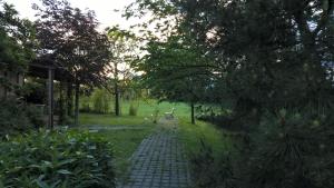 Zahrada ubytování Rose Canine B&B