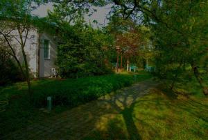 Zahrada ubytování Rose Canine B&B