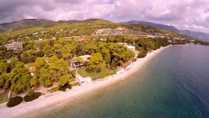an aerial view of a beach with trees and the water at Villa Pebbles in Agioi Theodoroi