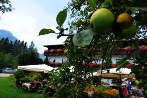 Widok na góry z tego obiektu B&B