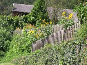 A garden outside Obergereuth Hof 1288