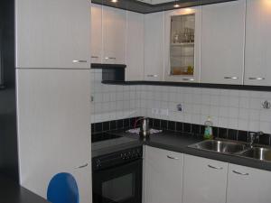 A kitchen or kitchenette at Obergereuth Hof 1288