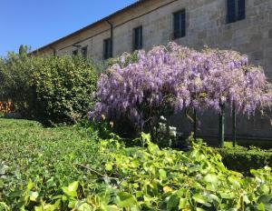 Albergue Convento Del Camino, Tui – Updated 2022 Prices