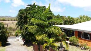 Aed väljaspool majutusasutust Cap Martinique