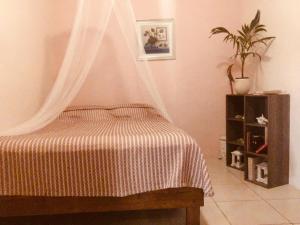 una camera da letto con un letto con zanzariera di Magical Garden a Savaneta