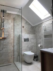 a bathroom with a toilet and a glass shower at Casa Codrin in Bran +77 photos