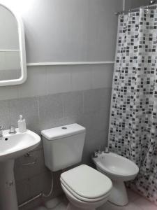 a bathroom with a toilet and a sink and a shower curtain at CABAÑAS LOS PATOS in Lago Puelo