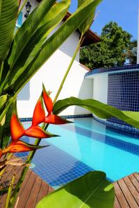 una planta con flores rojas junto a una piscina en Recanto das Andorinhas Studios, en Paraty