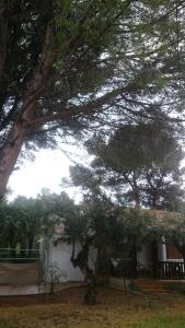 Vonkajšia záhrada v ubytovaní Villa Chabola