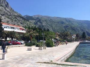 eine Straße in einer Stadt neben einem Wasserkörper in der Unterkunft Promenade suite in Kotor