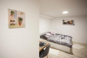 a bedroom with a bed and a desk in it at Studio Jan in Zgornje Gorje