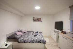 a bedroom with a bed and a flat screen tv at Studio Jan in Zgornje Gorje