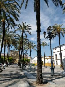 a row of palm trees and a street light at Azafran Jerez apartamentos in Jerez de la Frontera