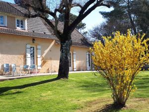 Saint-Avit-Sénieur的住宿－le bois du bournat，房子旁的院子中的一棵树