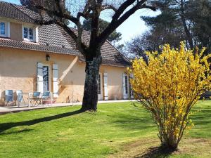 un arbre dans une cour à côté d'une maison dans l'établissement le bois du bournat, à Saint-Avit-Sénieur