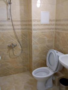 een badkamer met een douche, een toilet en een wastafel bij Tangra Guest House in Arapya