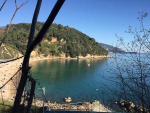 Mynd úr myndasafni af Rosy’s flat í La Spezia