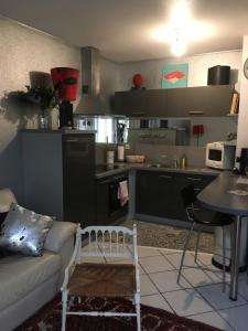 un soggiorno con divano e cucina di Le Garden Victoria - Canal & Cathédrale -30m2 & Garden a Nancy Altre 17 foto