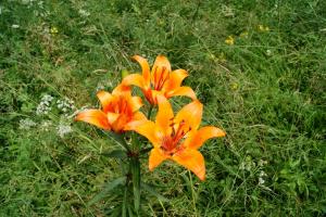 صورة لـ Gasthof Pension Leitner في Wildbad Einöd