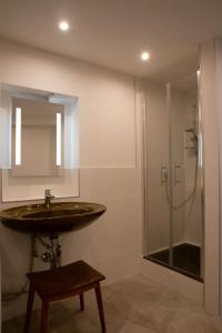 因斯布魯克的住宿－Apartment FreiRaum，一间带水槽和淋浴的浴室