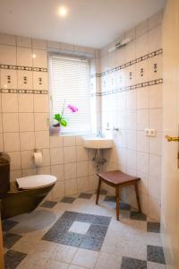因斯布魯克的住宿－Apartment FreiRaum，一间带卫生间、水槽和窗户的浴室