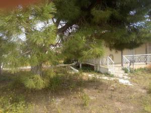 Vonkajšia záhrada v ubytovaní Vangelis House near Athens Airport