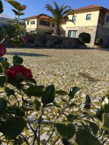 Photo de la galerie de l'établissement Quinta da Vinha Morta, à Lamego