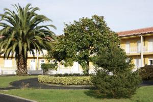 a building with two palm trees in front of it at Apartamentos San Pedro en Llanes in Llanes +40 photos