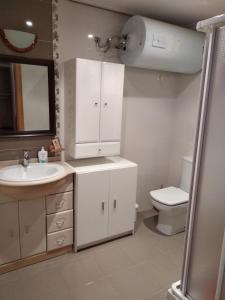 a bathroom with a sink and a toilet and a mirror at Apartamentos San Roque in Ribadeo