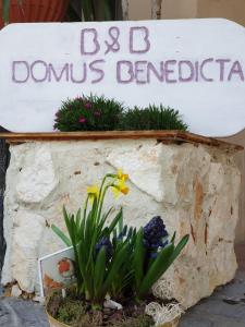 Fotografie z fotogalerie ubytování B&B Domus Benedicta v destinaci Assisi