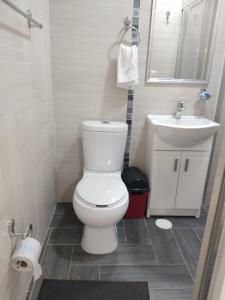 a bathroom with a white toilet and a sink at Hotel del Rosario in Zacatlán