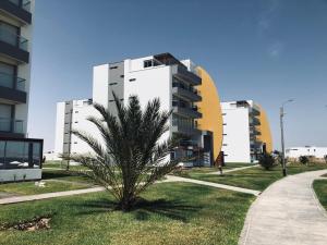 una palmera frente a un edificio en Ocean View Apartment, en Paracas