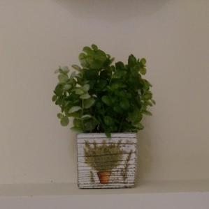 a plant in a white planter on a wall at 宜蘭樸實園民宿 in Jiaoxi