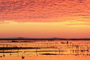 Photo de la galerie de l'établissement Malole Surf House, à Nembrala