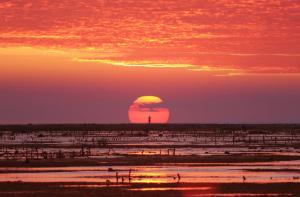 Photo de la galerie de l'établissement Malole Surf House, à Nembrala 32 autres photos