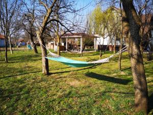 Zahrada ubytování Vila Luna