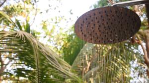 Giardino di Palm Forest Palolem
