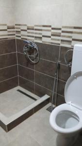 a bathroom with a toilet and a shower at Vikend kuća Careva Ćuprija-apartman in Olovo +64 photos