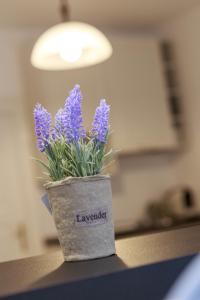 een vaas met paarse bloemen op een aanrecht bij Strada Mureșenilor - Savas Apartament in Braşov