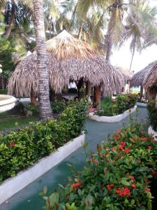ośrodek wypoczynkowy z palmami, kwiatami i ścieżką w obiekcie Apartamento Residencial Costa Azul w mieście Santo Domingo