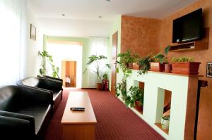 a living room with a couch and a fireplace at Pension Delia Gardens in Timişoara