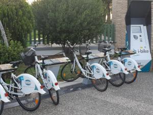 Jazda na bicykli v okolí ubytovania Alimos Studio Beach Apartment