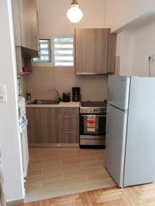 a kitchen with a refrigerator and a stove at Alimos Studio Apartment in Athens