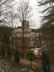 ein großes Schloss auf einem Hügel mit Bäumen in der Unterkunft Vila Kost in Sobotka