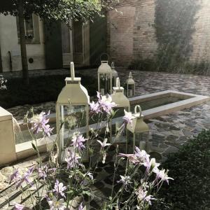 Zahrada ubytování Le Case Di San Vitale Easy