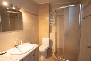 Un baño con inodoro, lavabo y ducha. en Seaside Apartments-Angela, en Kalí Limenes