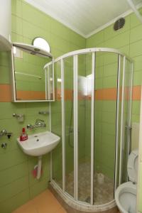 ein grünes Bad mit einer Dusche und einem Waschbecken in der Unterkunft Apartment Jasna in Mostar