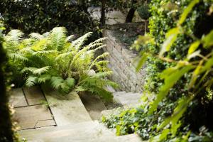 Jardí fora de Engimatt City & Garden Hotel