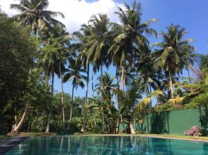 a swimming pool with palm trees in the background at Hettimulla River House in Bentota